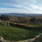 إيتوريتسو لاندتكسيا *